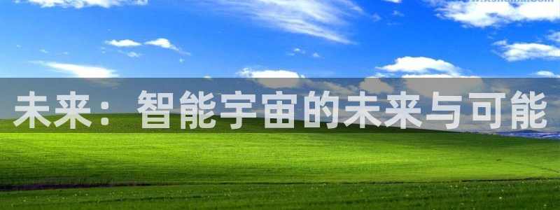 星欧娱乐：未来：智能宇宙的未来与可能
