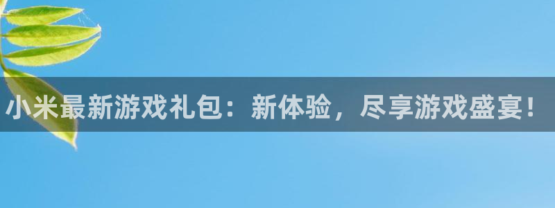星欧娱乐：小米最新游戏礼包：新体验，尽享游戏盛宴！
