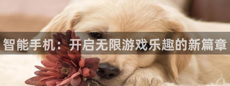 星欧娱乐测速登陆：智能手机：开启无限游戏乐趣的新篇章