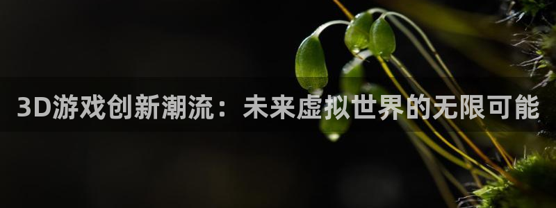 星欧娱乐2首页登录：3D游戏创新潮流：未来虚拟世界的无限可能