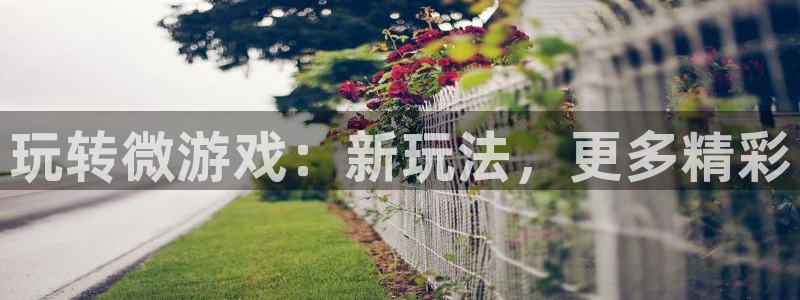 星欧娱乐平台官方网站：玩转微游戏：新玩法，更多精彩