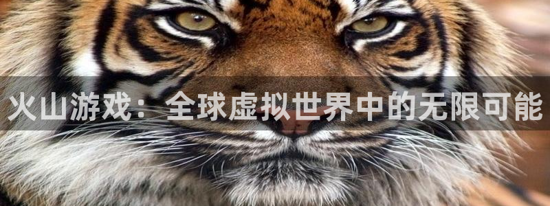 星欧娱乐官网：火山游戏：全球虚拟世界中的无限可能