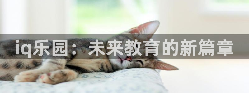 星欧娱乐平台注册：iq乐园：未来教育的新篇章