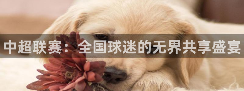 小九体育免费看球直播：中超联赛：全国球迷的无界共享盛宴