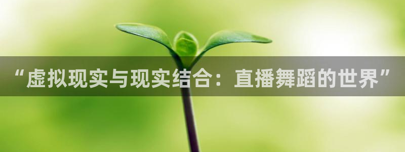 英超直播小九