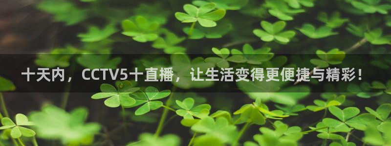 小九直播体育：十天内，CCTV5十直播，让生活变得更便捷与精彩！
