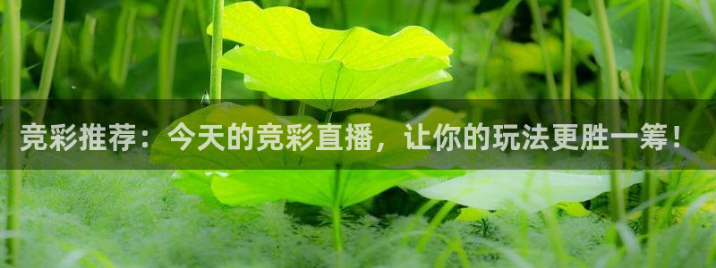 足球直播小九