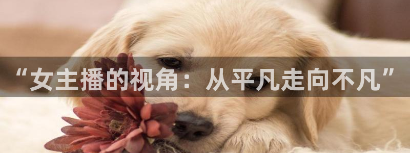 小九nba在线直播免费观看直播高清