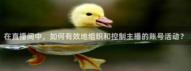 足球免费直播高清直播小九直播：在直播间中，如何有效地组织和控制主播的账号活动？