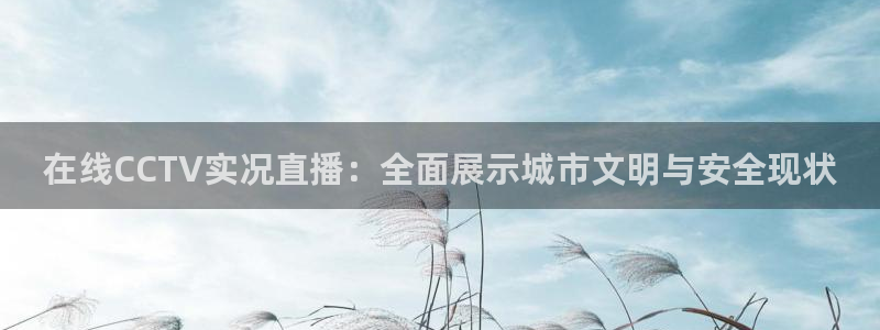 小九体育直播官网