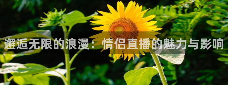 小九足球免费直播高清观看：邂逅无限的浪漫：情侣直播的魅力与影响