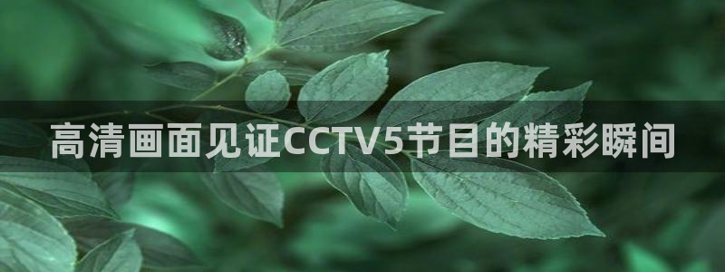 足球小九直播在线观看：高清画面见证CCTV5节目的精彩瞬间