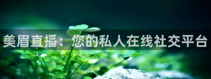小九儿直播：美眉直播：您的私人在线社交平台