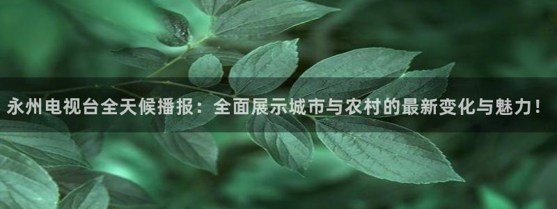 小九足球直播免费观看：永州电视台全天候播报：全面展示城市与农村的最新变化与魅力！