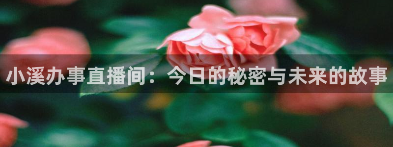 小九nba在线直播免费观看直播高清：小溪办事直播间：今日的秘密与未来的故事