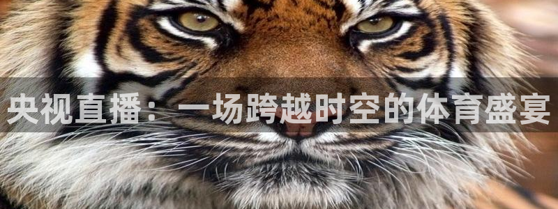 小九的视频：央视直播：一场跨越时空的体育盛宴