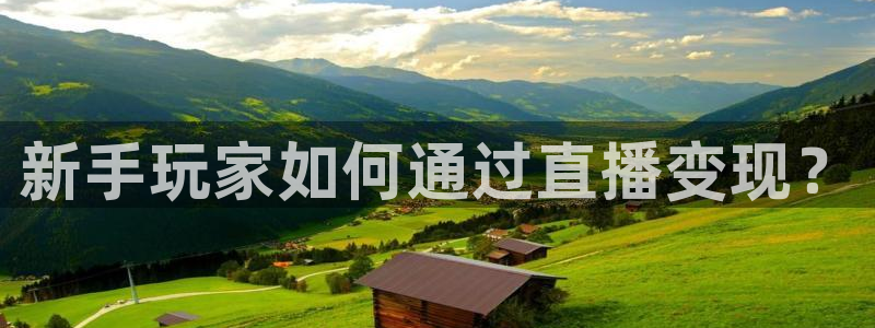 小九体育直播在线观看：新手玩家如何通过直播变现？