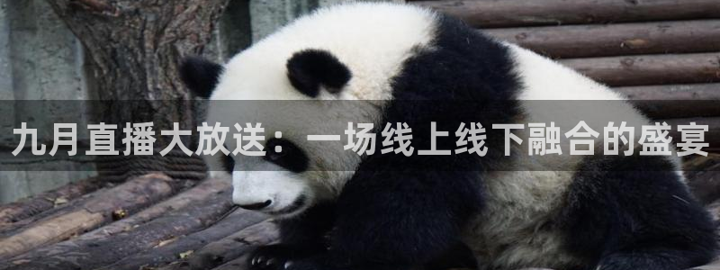 足球小九直播在线观看：九月直播大放送：一场线上线下融合的盛宴
