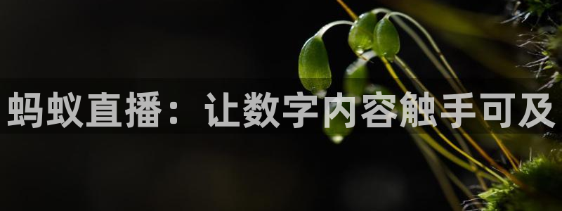 小九剧场免费观看：蚂蚁直播：让数字内容触手可及