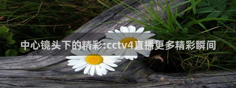小九直播体育免费观看：中心镜头下的精彩:cctv4直播更多精彩瞬间