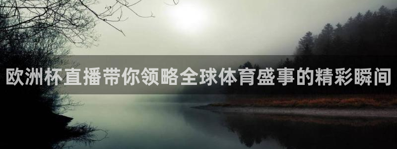 小九直播免费：欧洲杯直播带你领略全球体育盛事的精彩瞬间