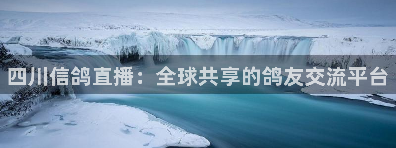 小九nba直播在线观看：四川信鸽直播：全球共享的鸽友交流平台